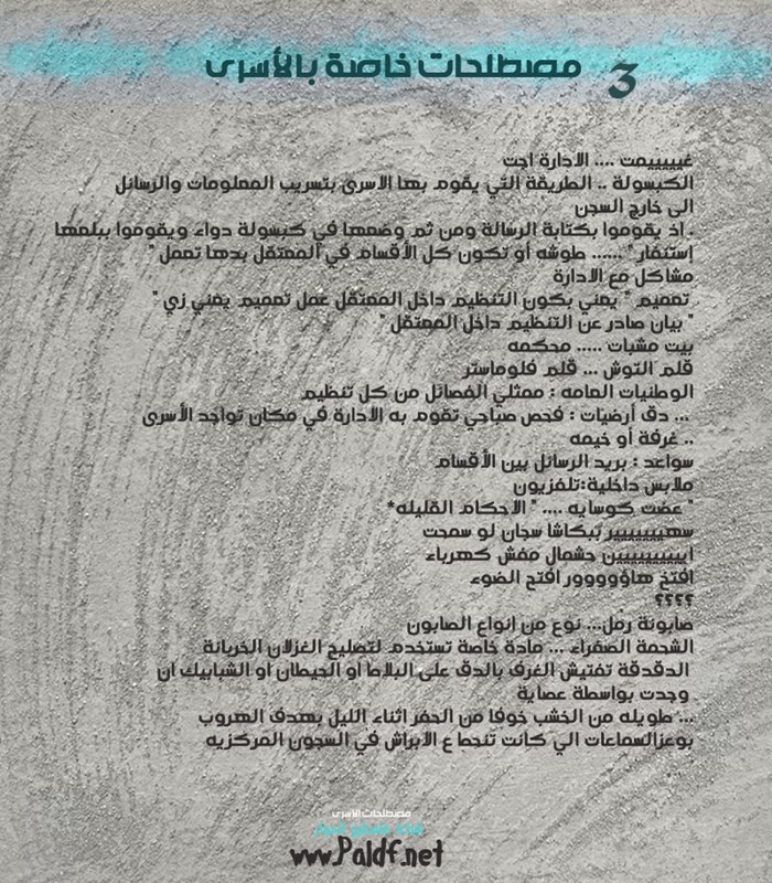 لغة السجون.. مصطلحات لا يفهمها إلا الأسرى