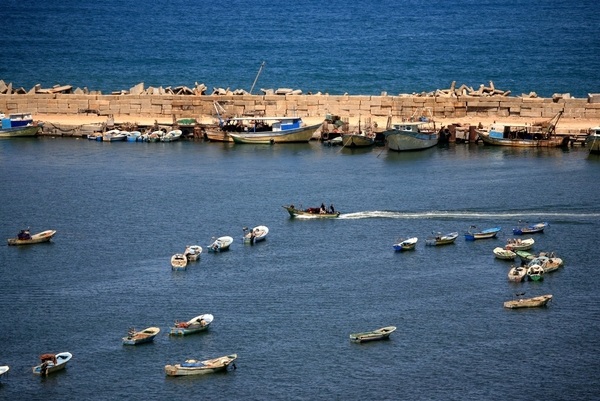صيادو غزة يودعون البحر في أفضل مواسمه