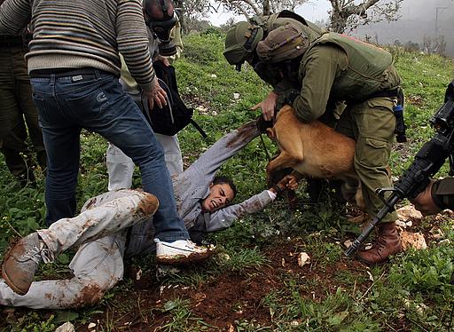 مواجهات بين شبان فلسطينيين وجنود الاحتلال الصهيوني بالضفة الغربية الجمعة 16-3-2012