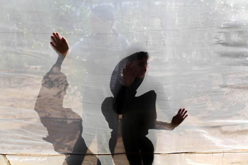في غزة.. أنتاج البطيخ من بذور القرع في غير موسمه