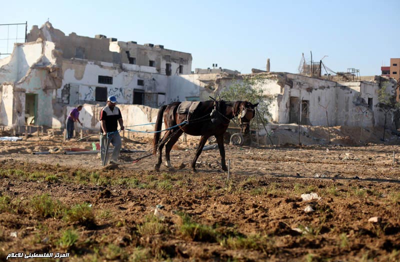 تحويل مجمع السرايا الأمني بغزة لمتزه عام بعد تدميره في الحربين على غزة