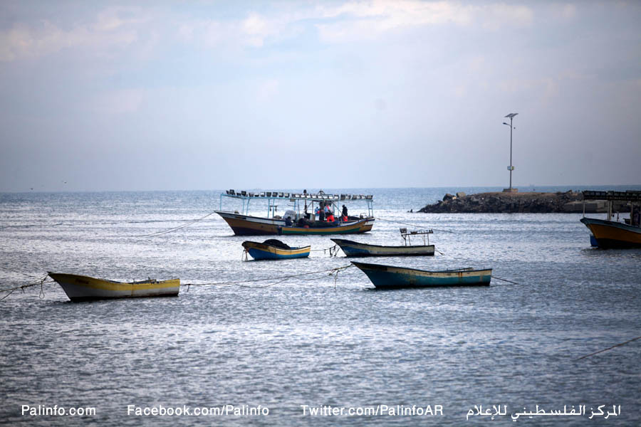 صور لميناء غزة صباحاً