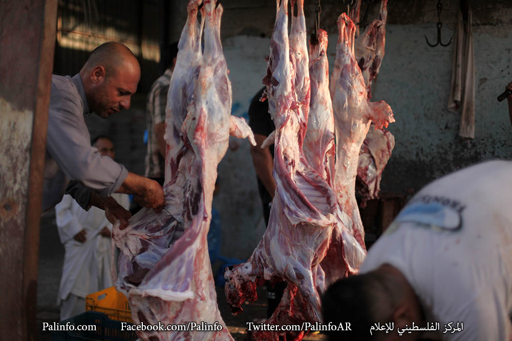 صور من سوق الأضاحي في مدينة غزة