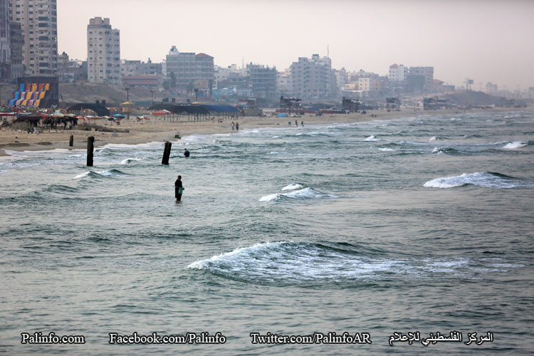 سوق السمك على شاطئ بحر غزة