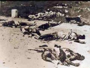يديعوت تنشر الجمعة صورا لعمليات إعدام نفذتها عصابات صهيونية عام 1948
