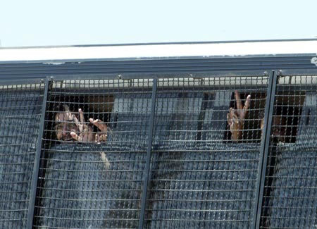 خمسة أسرى يدخلون أعواما جديدة في سجون الاحتلال