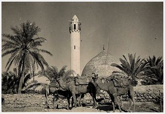 جنين: مدينة لها تاريخ .. وحاضر له جذور ضاربة في الأعماق