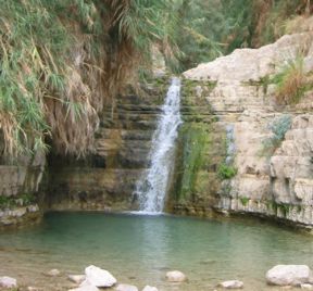 الفلسطينيون يعايشون في رمضان حرب الاحتلال على قطرة الماء