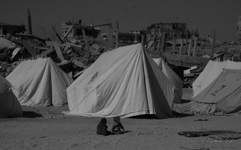أهالي شمال غزة يتحولون من مشاهدين لـ التغريبة الفلسطينية إلى أبطال وممثلين لها