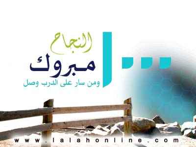 الطالبة خلود أبو عسكر.. صمود وتحدٍّ من وسط الركام