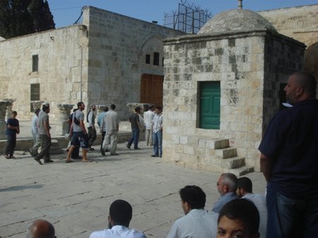 المرابطون يحبطون اقتحامًا جماعيًّا للمسجد الأقصى من قِبل الجماعات اليهودية المتط المرابطون يحبطون اقتحامًا جماعيًّا للمسجد الأقصى من قِبل الجماعات اليهودية المتط