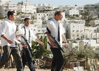 المستوطنون يعتدون على الفلسطينيين شمال الخليل